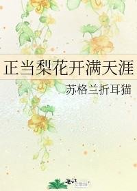 梨花又开放/正当梨花开满天涯